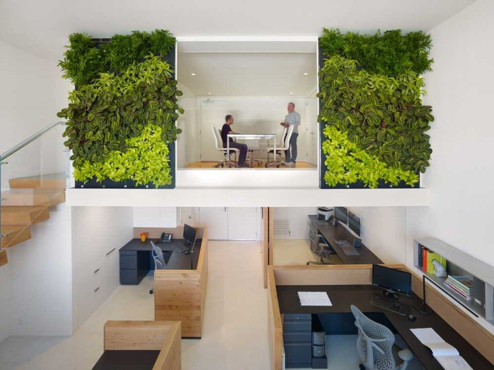 An Eco-Friendly Design and a Fresh Look in the Office of Buck O’Neill