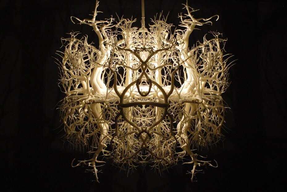The Light sculpture Forms in Nature – a fascinating world of roots