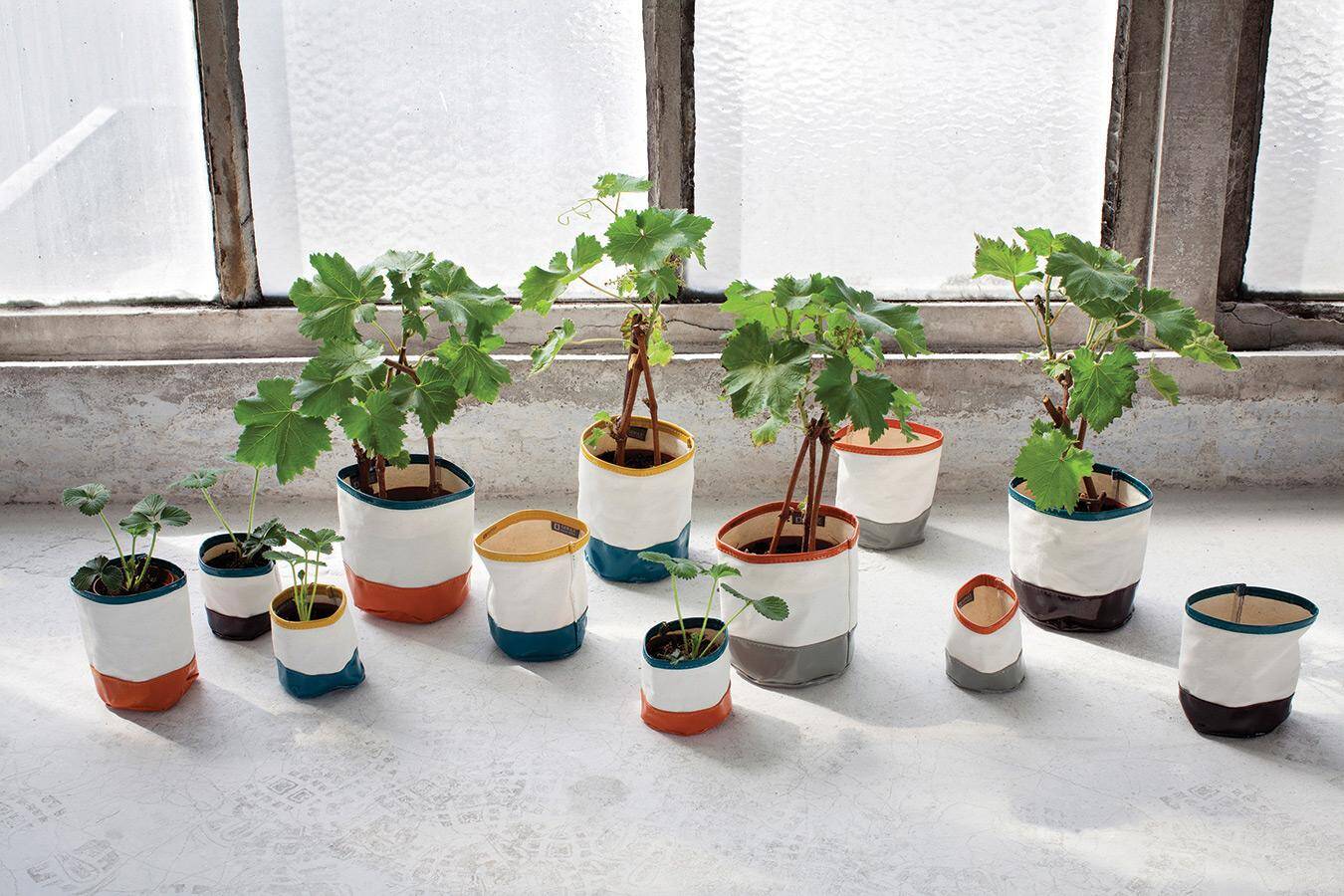 Serax - Flower pots can transform any garden or interior (5)