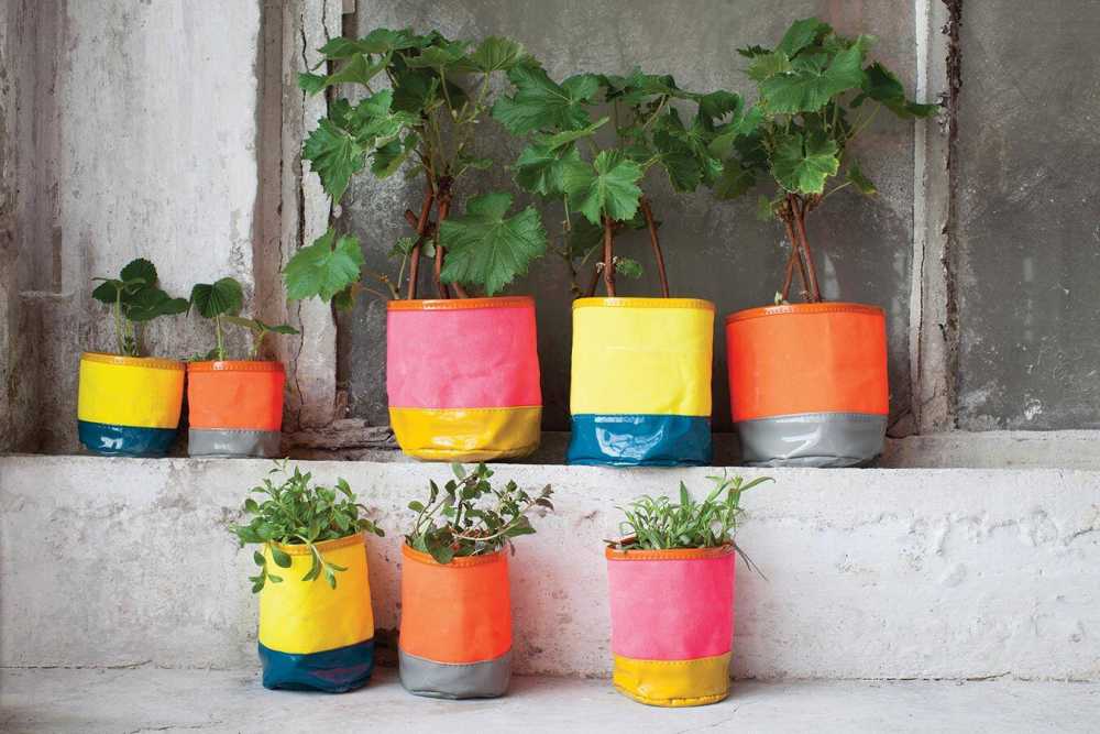 Flower Pots Can Transform Any Garden Or Interior