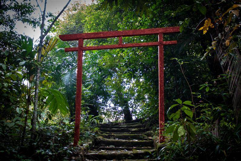 Japanese gardens 1 (1) (Custom)
