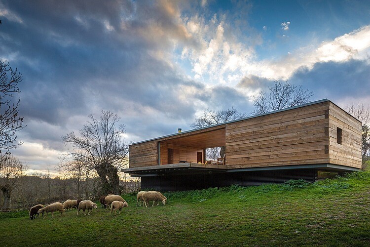 B House by ch+qs arquitectos inspired by the fields with yellow flowers - HomeWorldDesign (1)