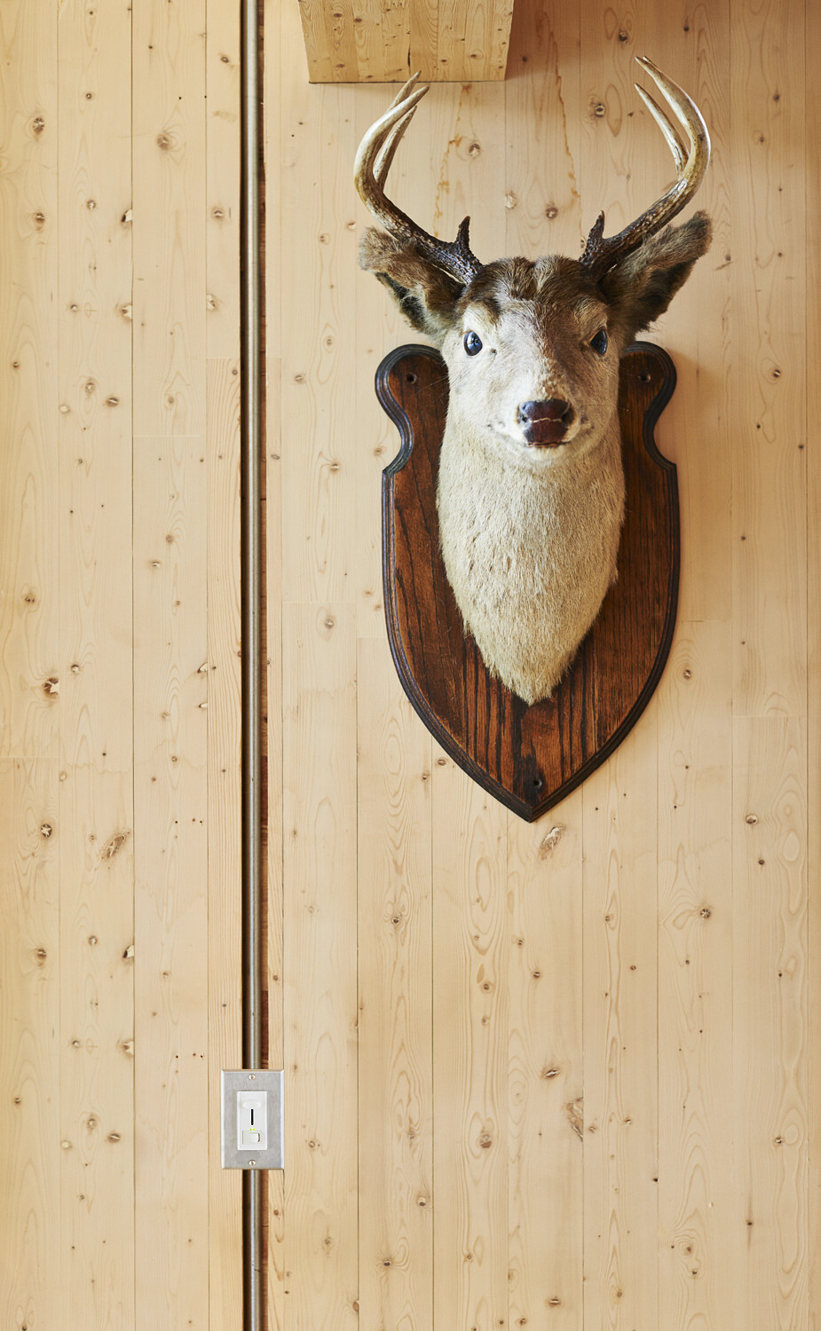 Laminated Timber Cottage by Kariouk Associates - HomeWorldDesign (11)