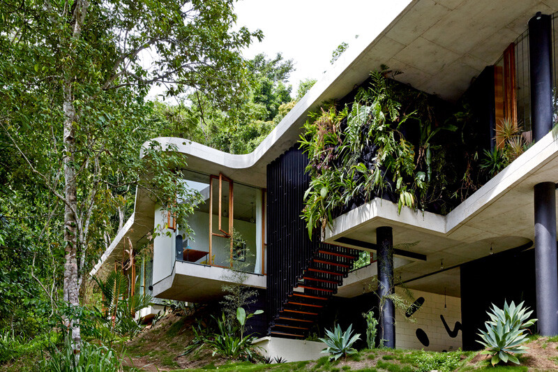 Tropical house nestled amongst treetops in Queensland (2)