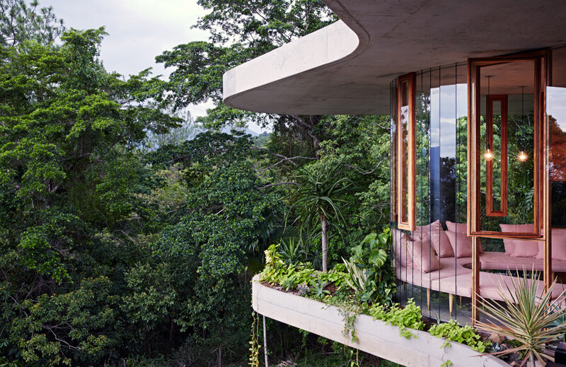 Tropical house nestled amongst treetops in Queensland (3)