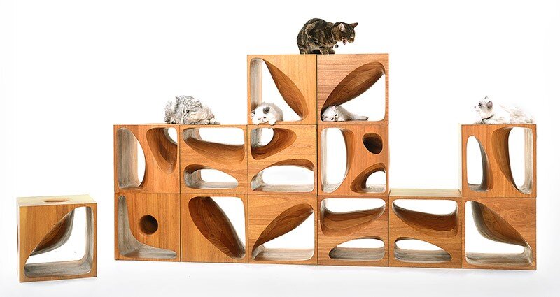 CATable wooden cubes designed for playful cats (6)