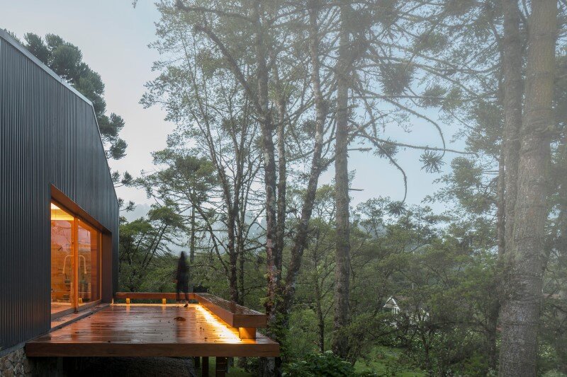 Metal structure house in the midst of a beautiful forest of pine trees (1)