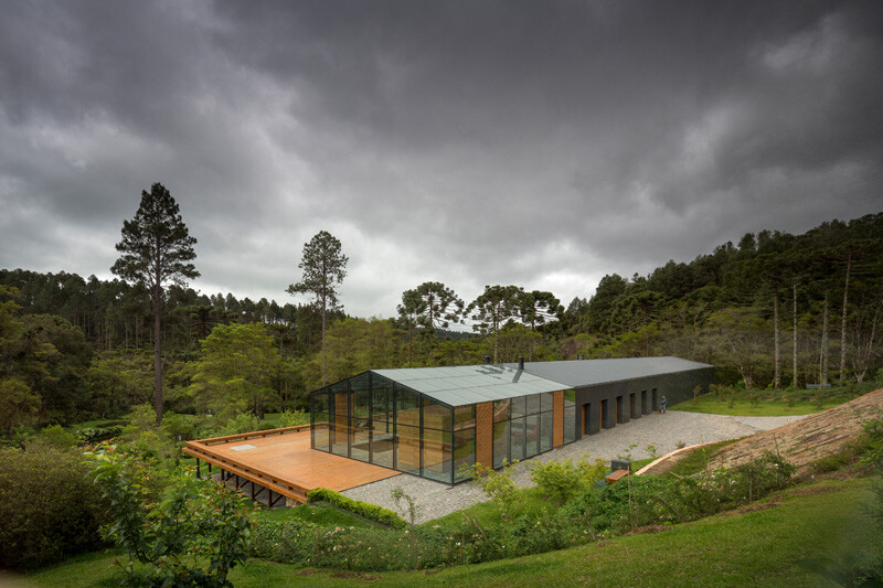 Metallic structure house in the midst of a beautiful forest of pine trees (2)