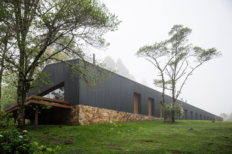 Metallic structure house in the midst of a beautiful forest of pine trees (3)