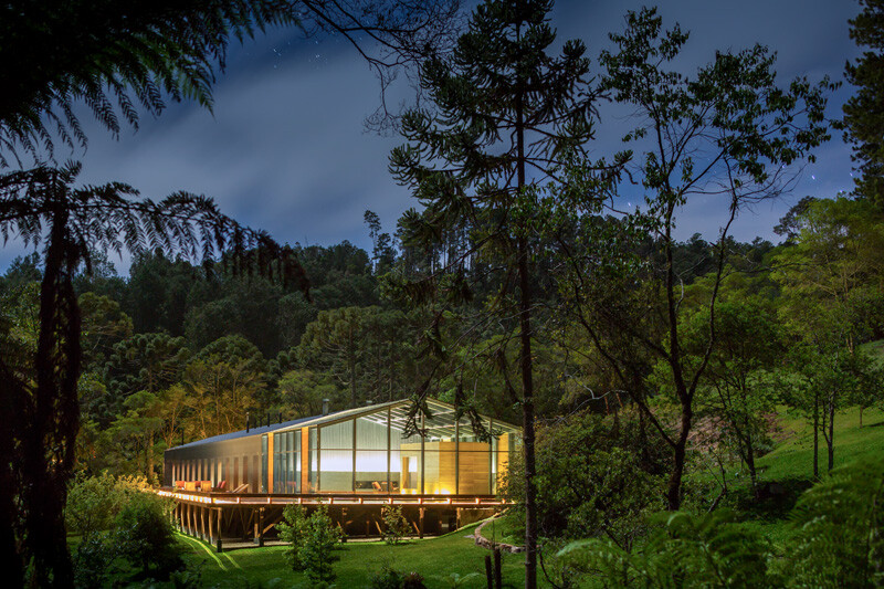 Metallic structure house in the midst of a beautiful forest of pine trees (5)