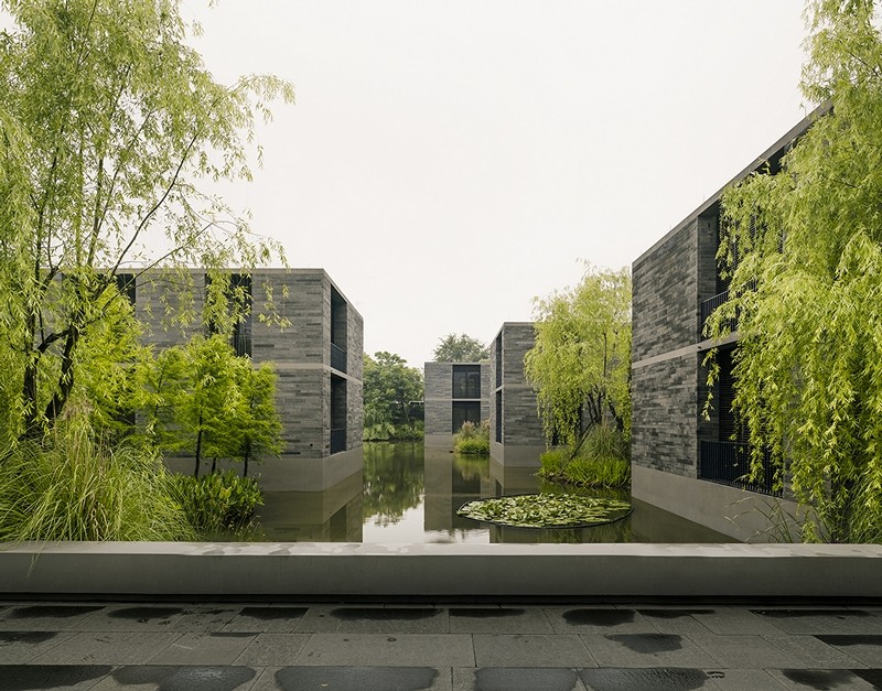 Apartment buildings surrounded by a water garden and wild landscape (8)