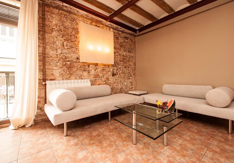 Borne apartments - modern décor combined with original wooden beams (2)