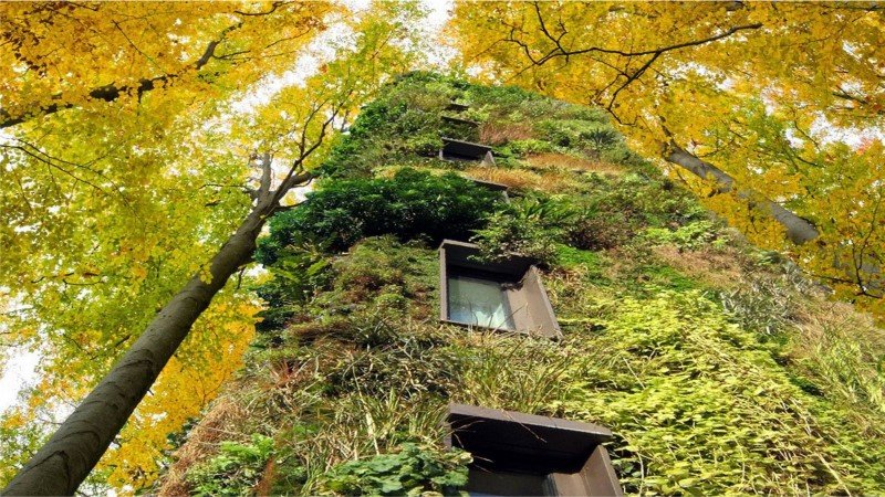 Sustainable Houses Designed as Trees by Oas1s (19)