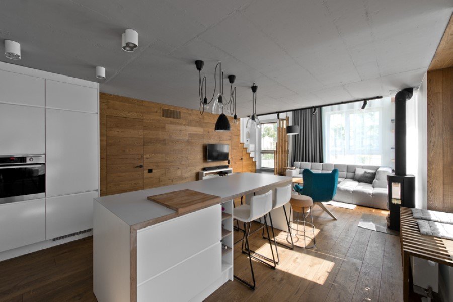 Scandinavian Modern Loft Interior by InArch (6)
