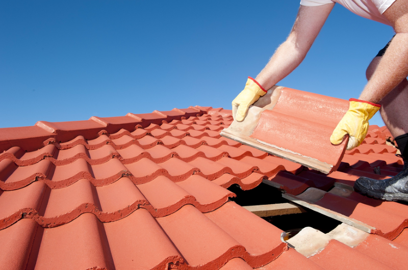 What You Should Know About Your Roof (1)