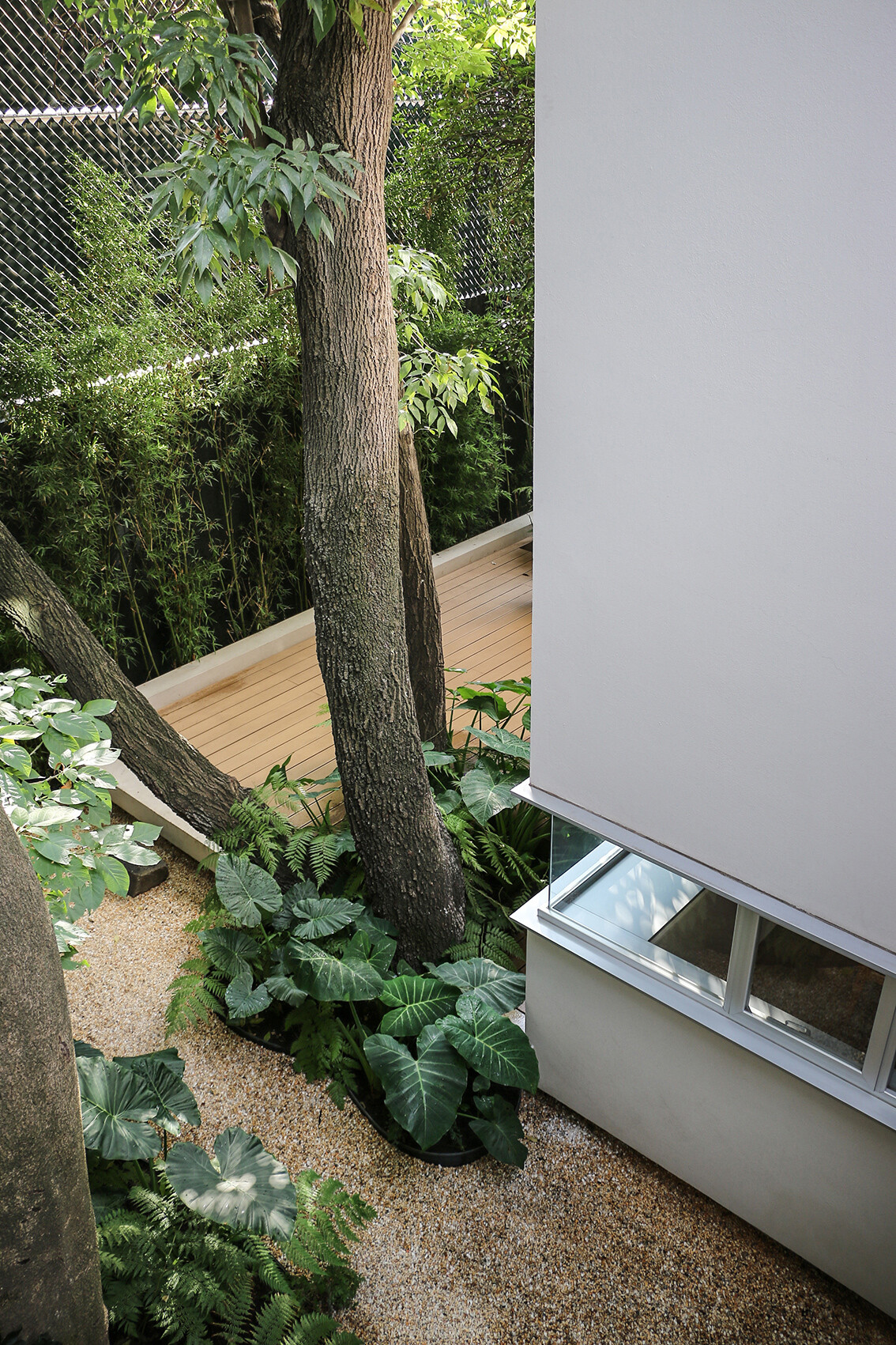 Small Eco-Friendly Home in Mexico City by Paul Cremoux Studio (6)