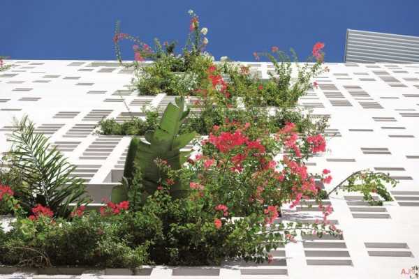 White Walls Transforms the City Silhouette of Nicosia