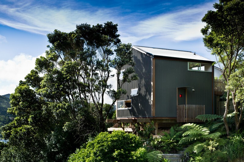 Island Bay House by WireDog Architecture (1)