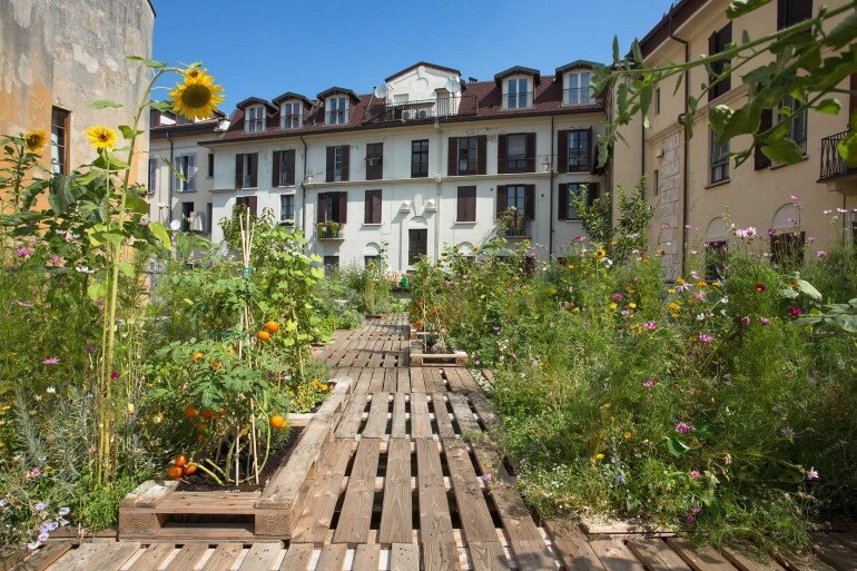 Piuarch Studio Has Converted its Rooftop into a Permanent Vegetable Garden (2)