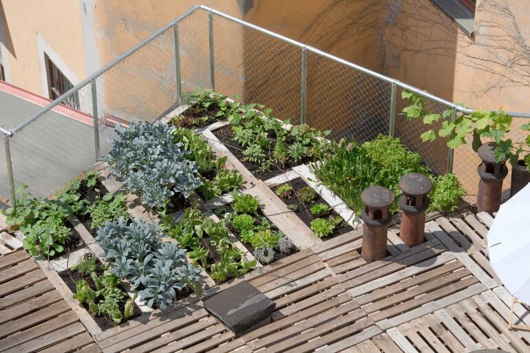 Piuarch Studio Has Converted its Rooftop into a Permanent Vegetable Garden (3)