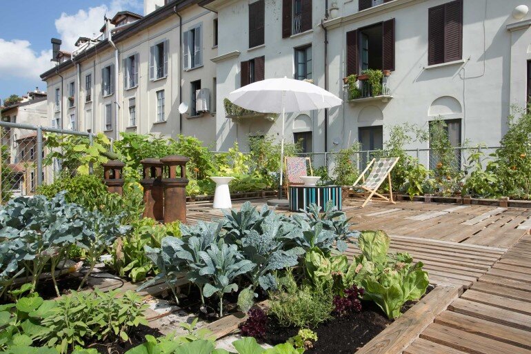 Piuarch Studio Has Converted its Rooftop into a Permanent Vegetable Garden (4)