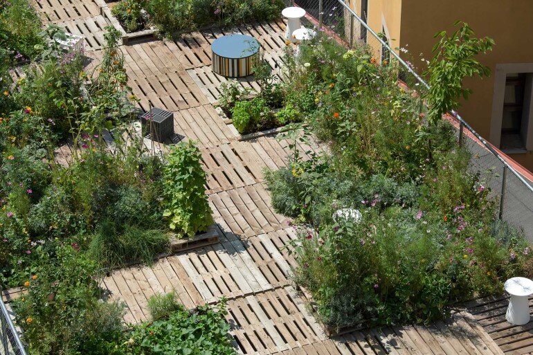 Piuarch Studio Has Converted its Rooftop into a Permanent Vegetable Garden (7)