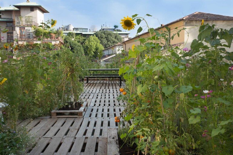 Piuarch Studio Has Converted its Rooftop into a Permanent Vegetable Garden (8)