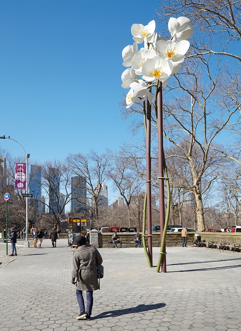 Two Orchids Herald the Entrance to Central Park in New York (7)