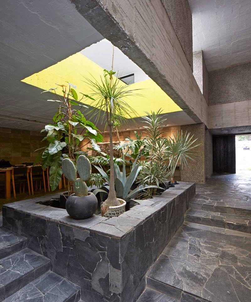 Mexico City Concrete Home 8