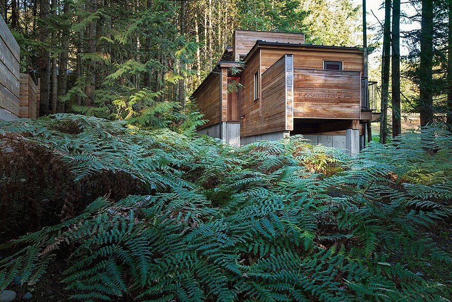 Rainforest Retreat on the Coast of Vancouver Island 3