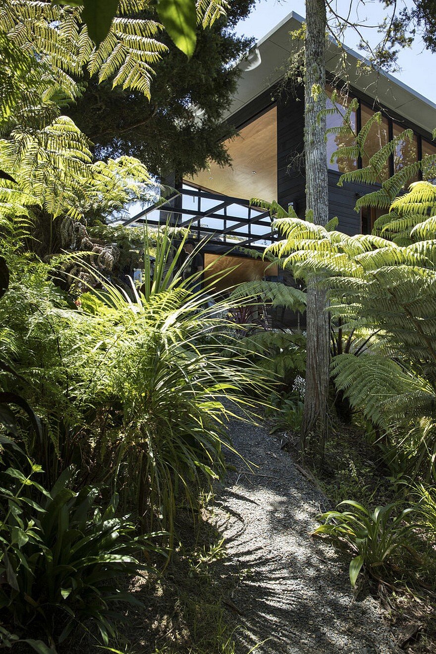 Ware Koa House by Strachan Group Architects 17