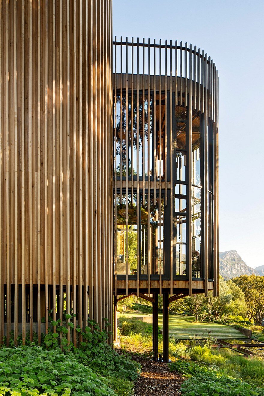 Contemporary Tree House Inspired by Timber Cabins in Cape Town 2