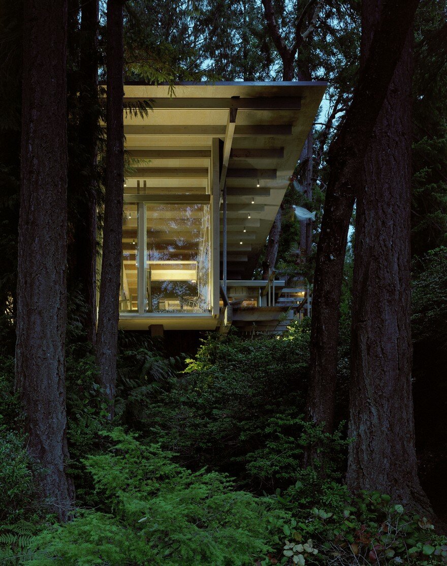 A 1959 Forest Cabin Was Turned into a Weekend Retreat in Rural Washington 2