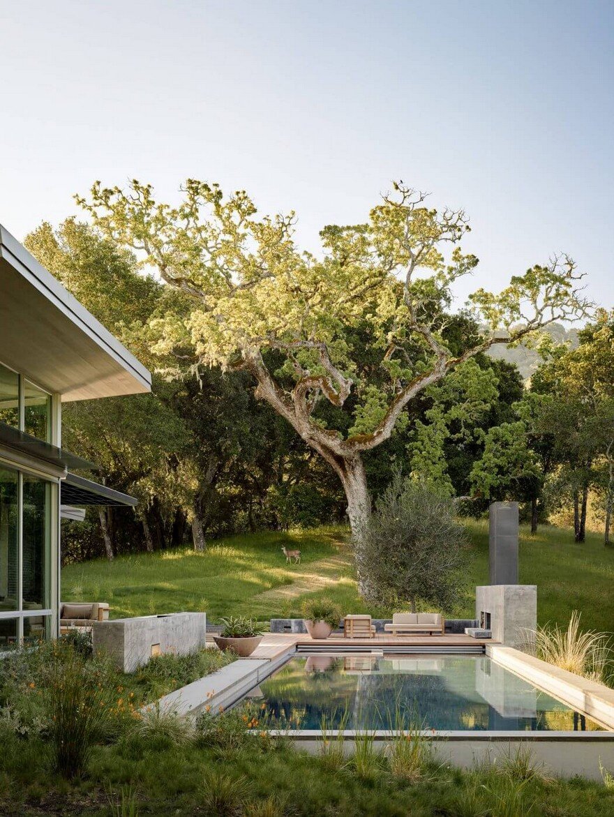 This Ranch Retreat Was Designed Around A 100-Year-Old Oak Tree 13