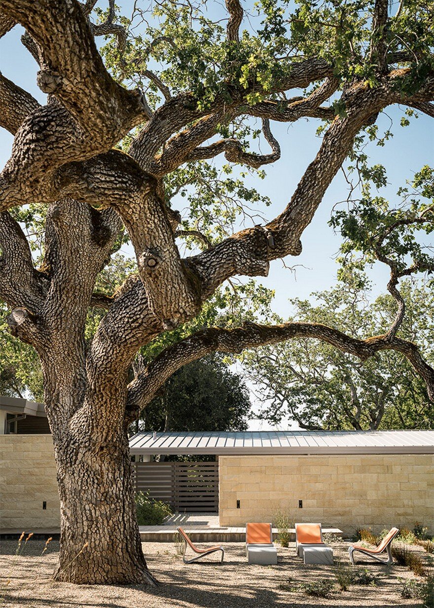 This Ranch Retreat Was Designed Around A 100-Year-Old Oak Tree 14