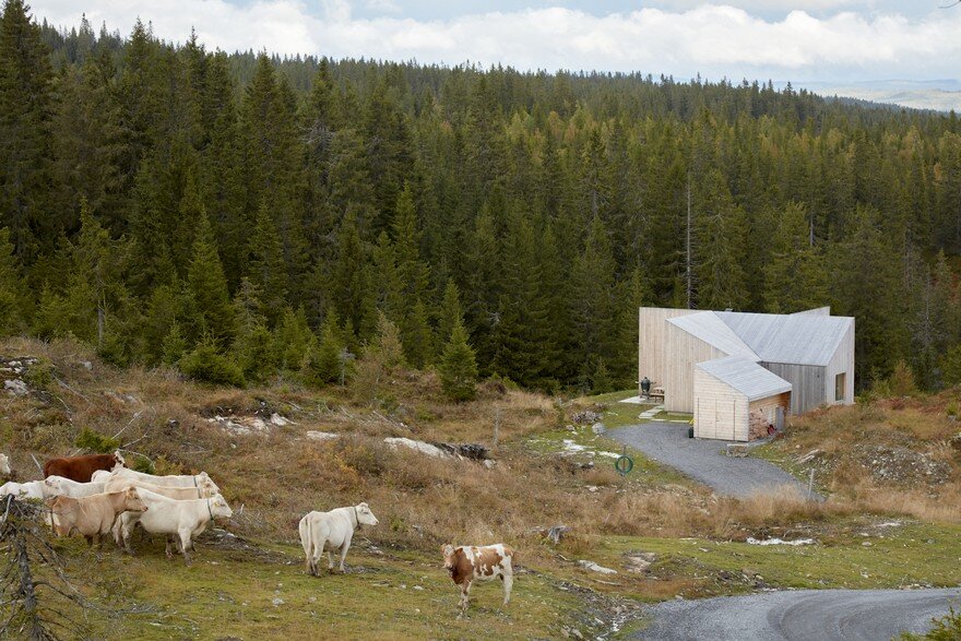 A Cabin House in the Norwegian Forest for a Geologist and His Family 9
