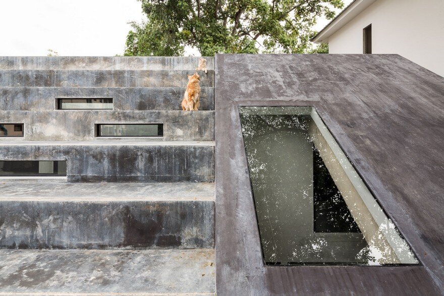 Fuzzy Dentist House by SO Architects 10