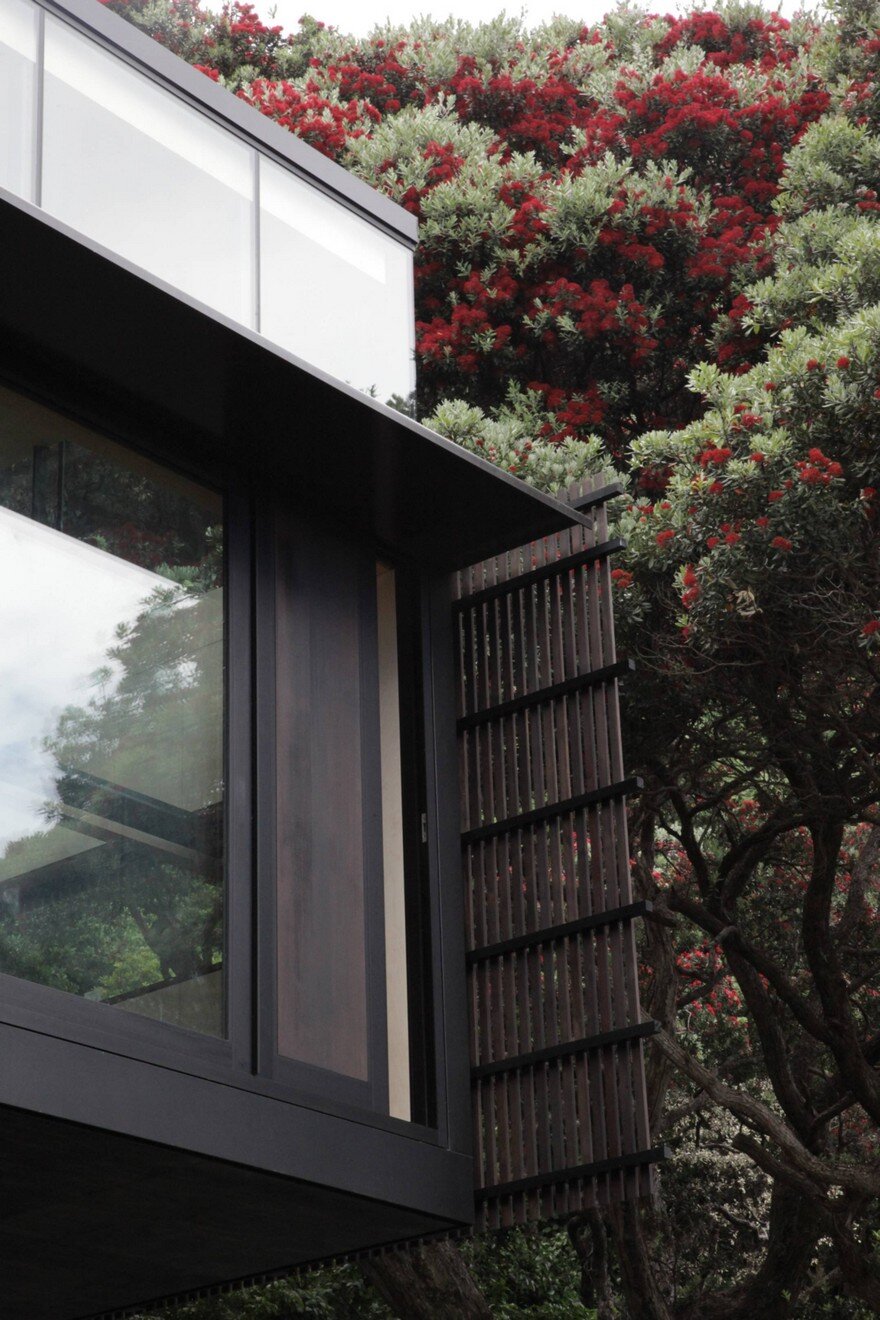 Kawakawa House by Herbst Architects 10