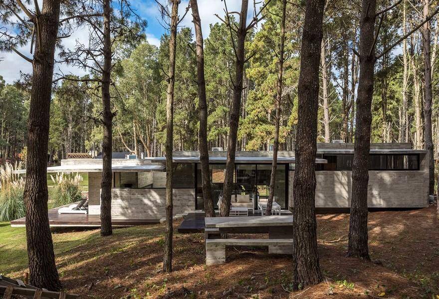 Forest Concrete House by Besonias Almeida Arquitectos 3
