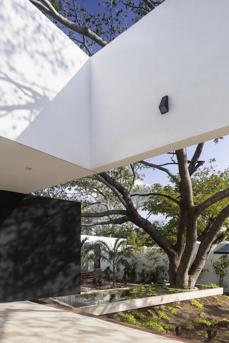 The Tree House in Mérida, Mexico / AS Arquitectura 5
