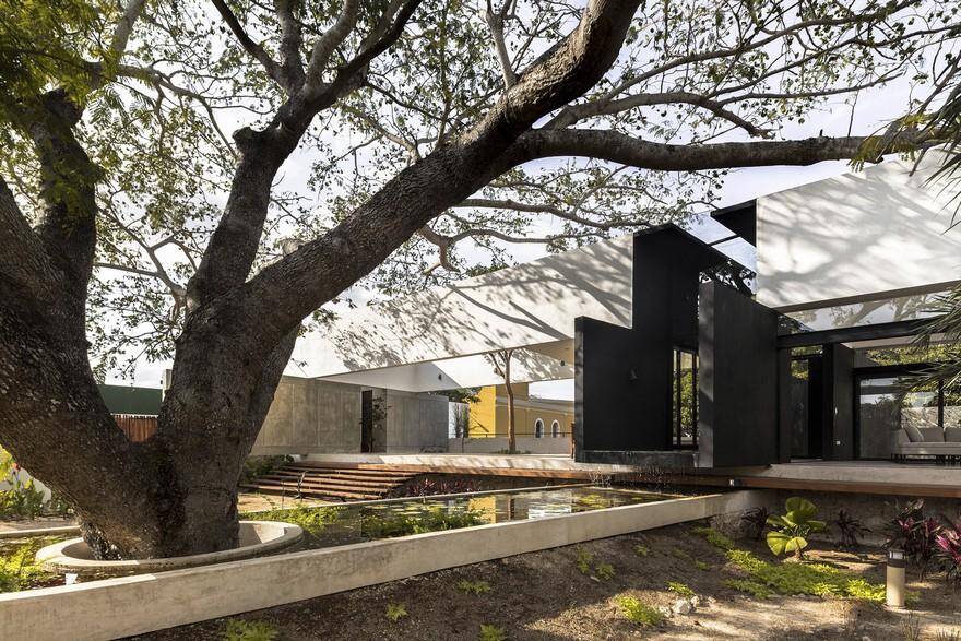 The Tree House in Mérida, Mexico / AS Arquitectura