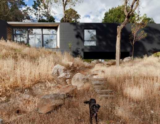 Cadaval & Solà-Morales Designs a Y-Shaped House in the Deep Forests of Mexico