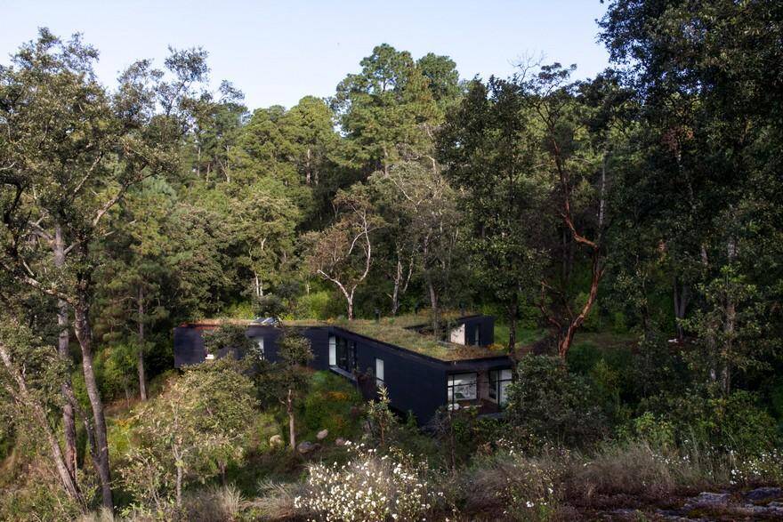 Cadaval & Solà-Morales Designs a Y-Shaped House in the Deep Forests of Mexico