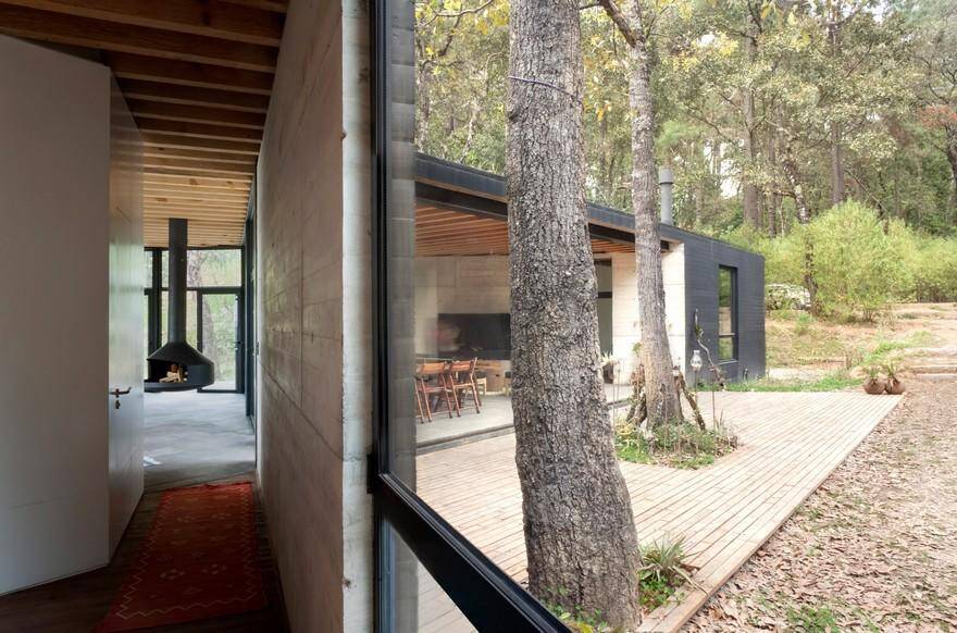Cadaval & Solà-Morales Designs a Y-Shaped House in the Deep Forests of Mexico 4