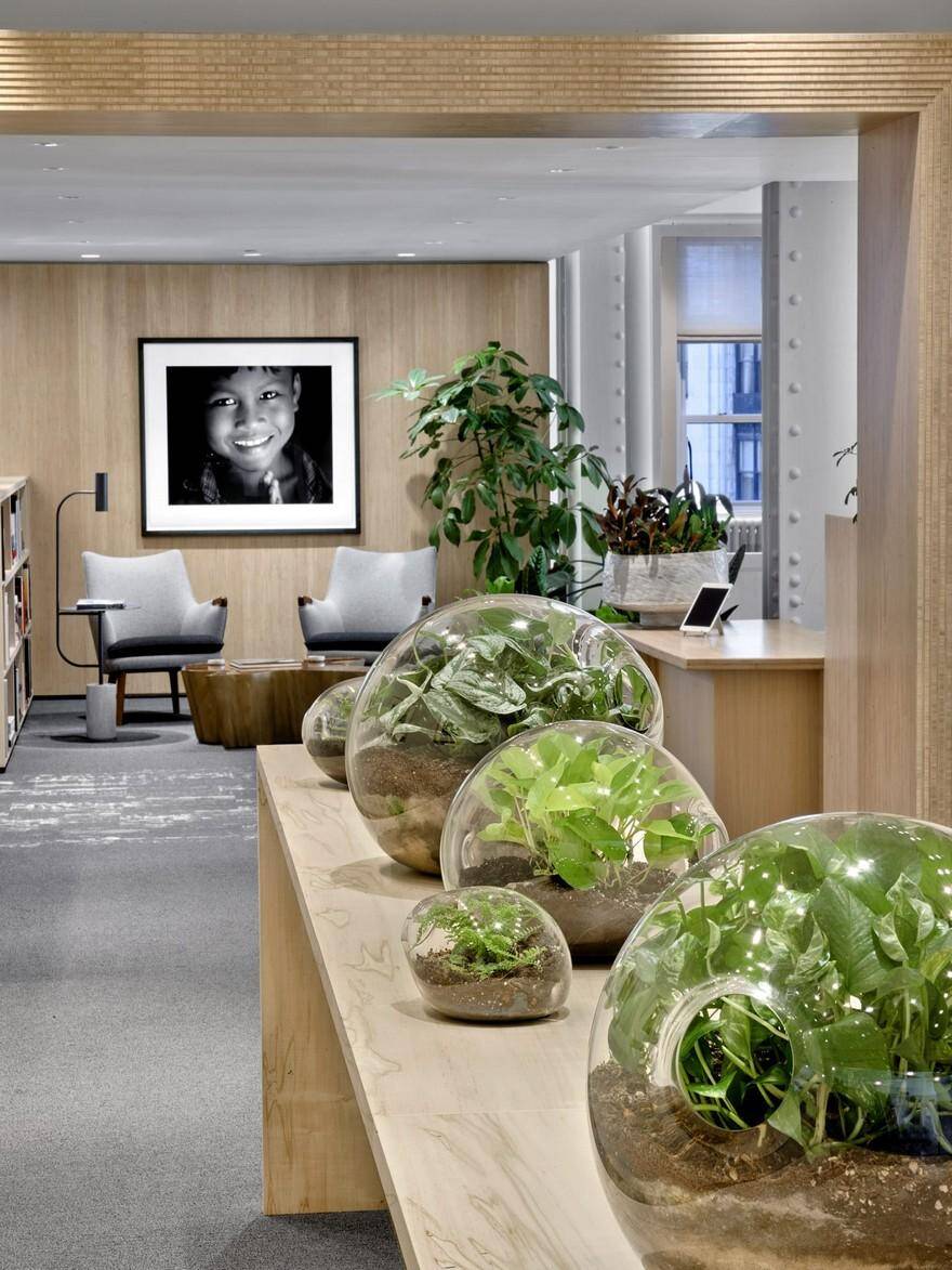 A Biophilic Design Studio Designed for Wellness in a Historic Office Tower 1