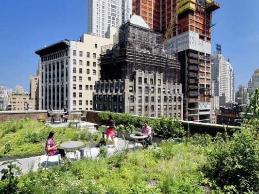 A Biophilic Design Studio Designed for Wellness in a Historic Office Tower 10