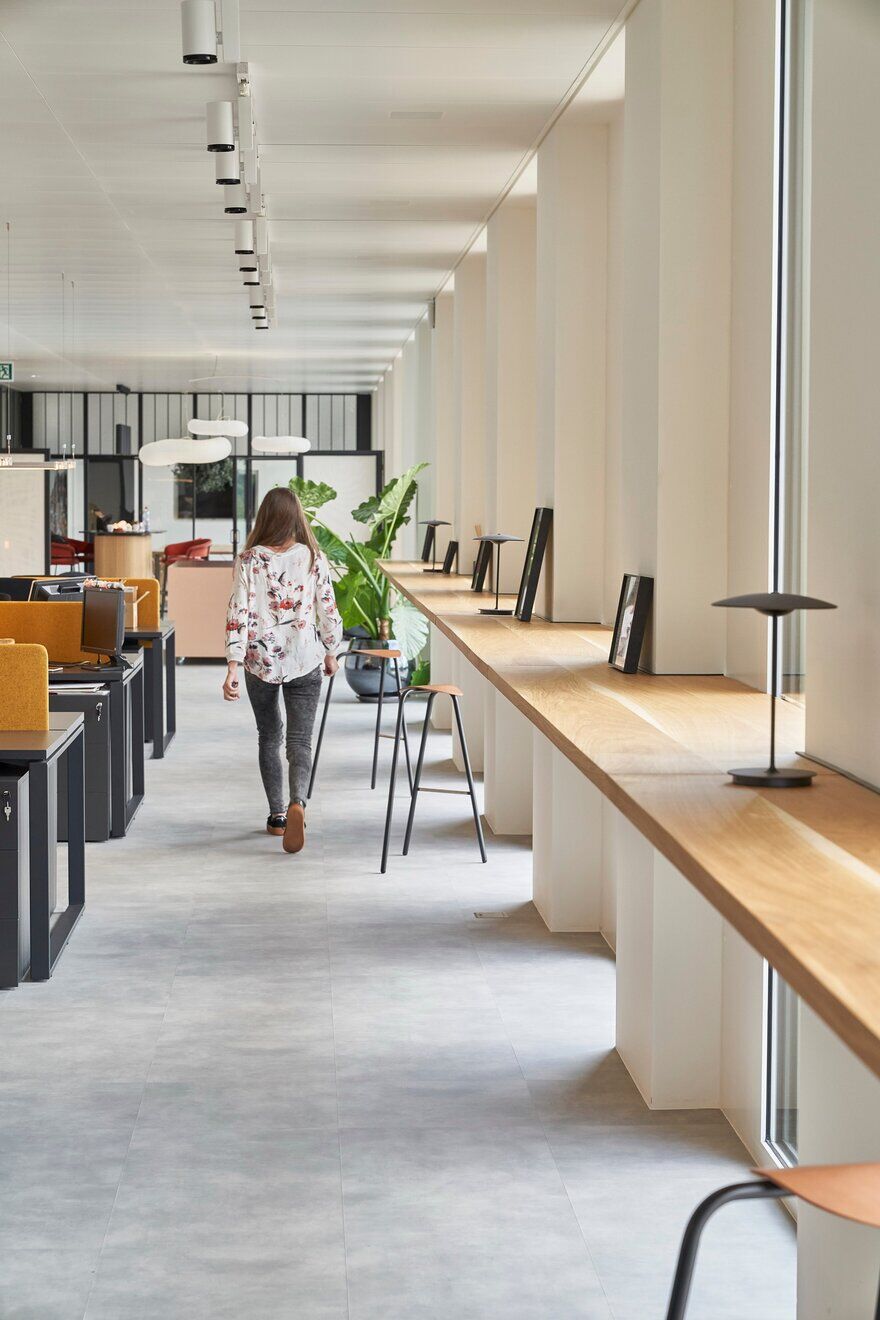 DLG New Creative Workspace in Geneva by Bloomint Design