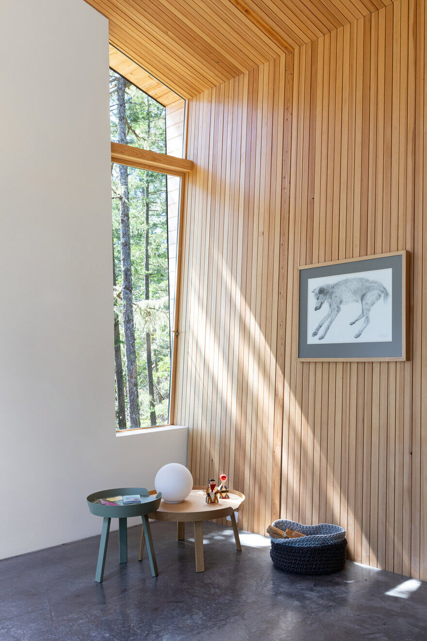 Campos Studio Has Integrated Sooke House with the Rhythm of the Forest