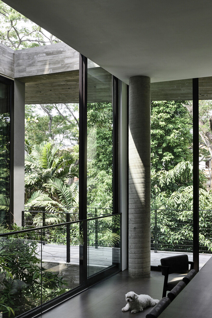 Stark House, Singapore / Park + Associates