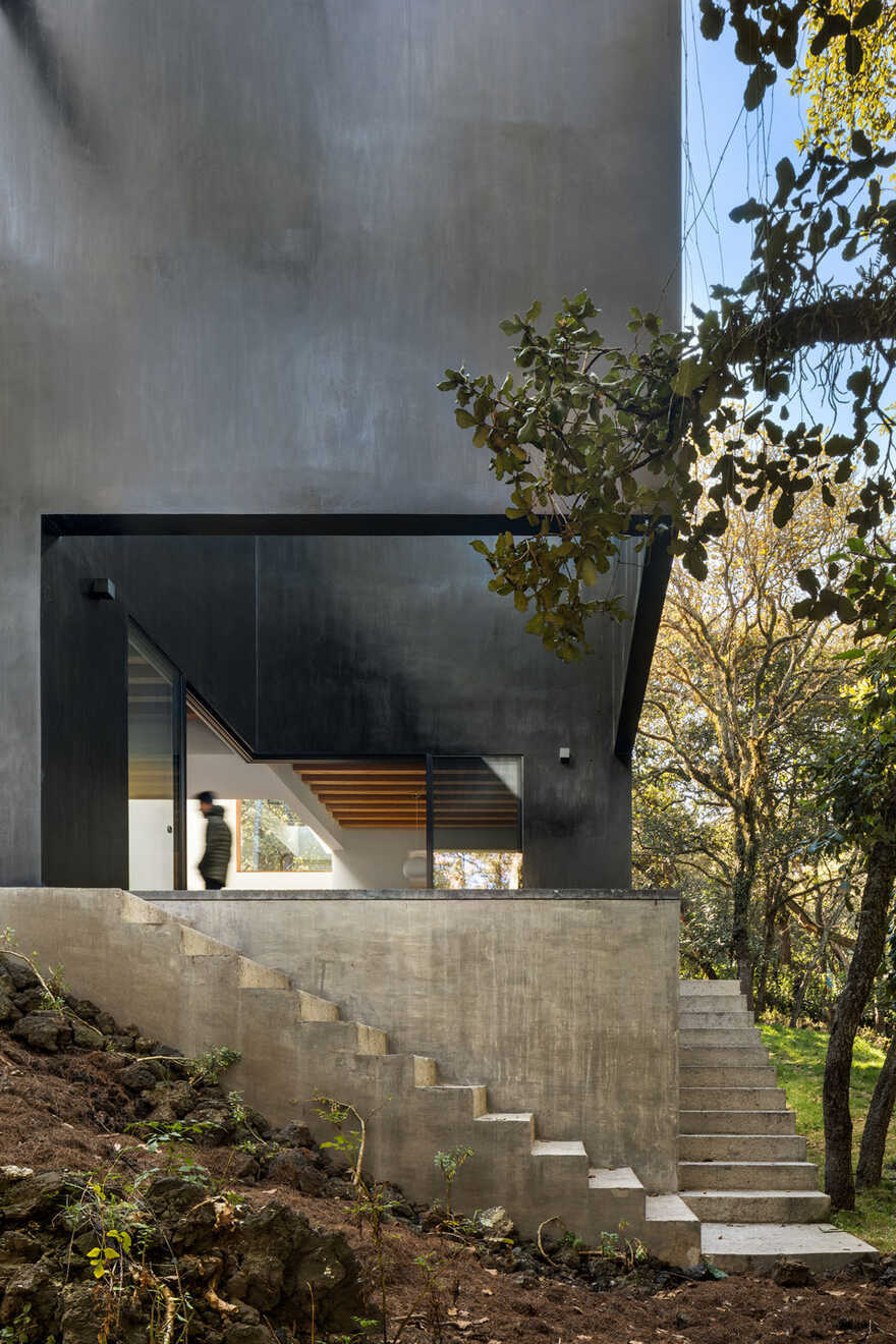 Tlalpuente House Nestled in a Forest in Southern Mexico City